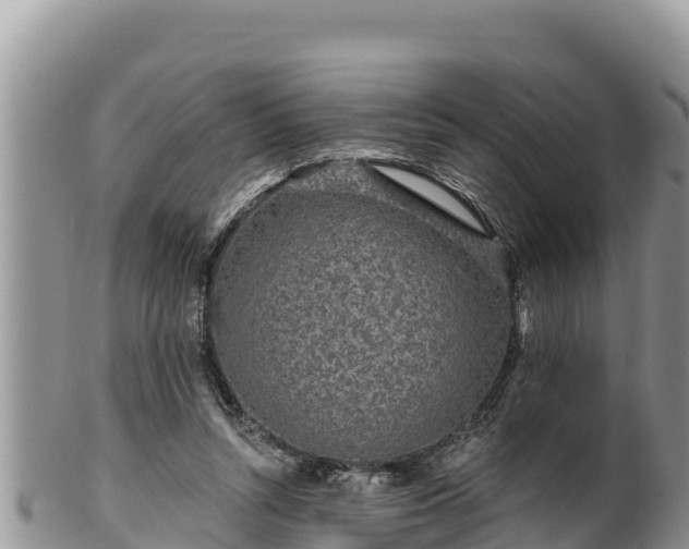 X0000102310352200808011608