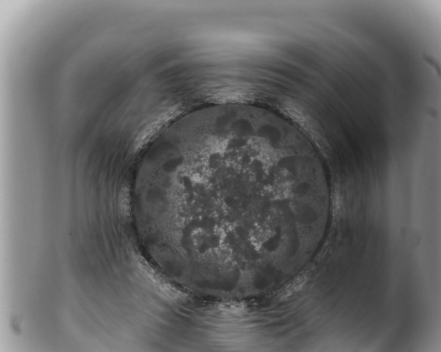 X0000102310353200808011608