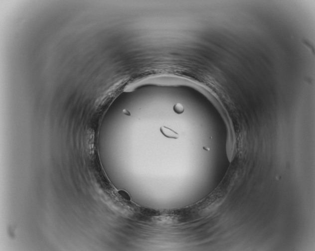 X0000102310356200808011608