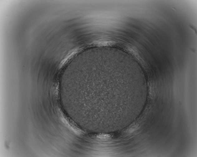 X0000102310357200808011608