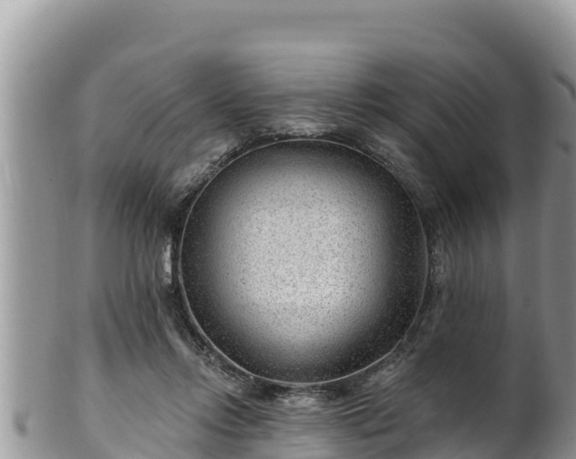 X0000102310358200808011608