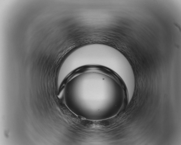 X0000102310360200808011608