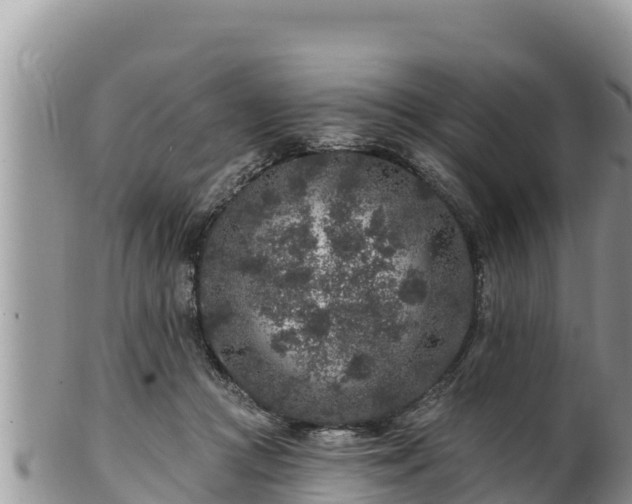 X0000102310361200808011608