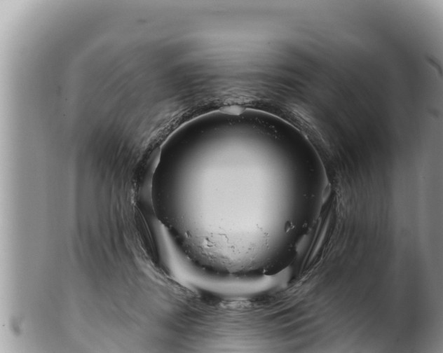 X0000102310362200808011608