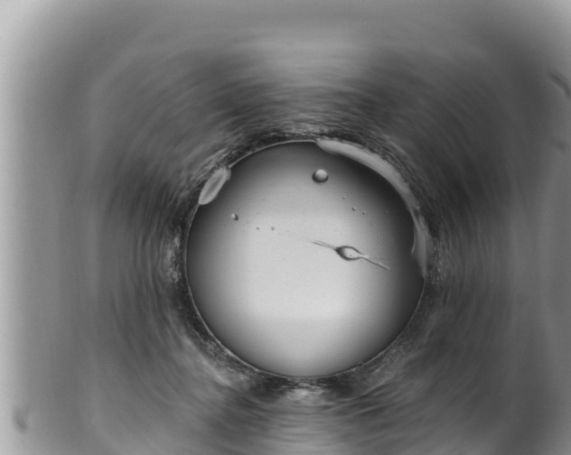 X0000102310364200808011608