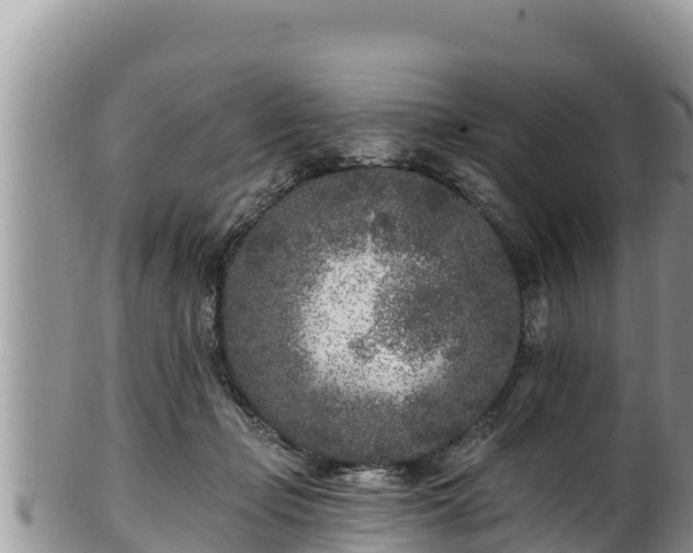 X0000102310365200808011608