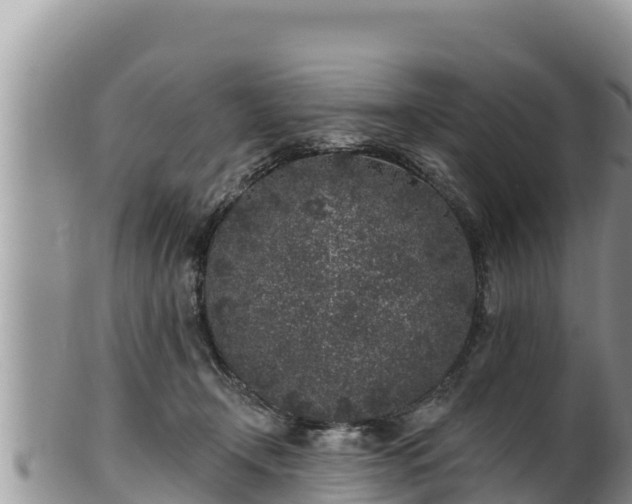 X0000102310366200808011608