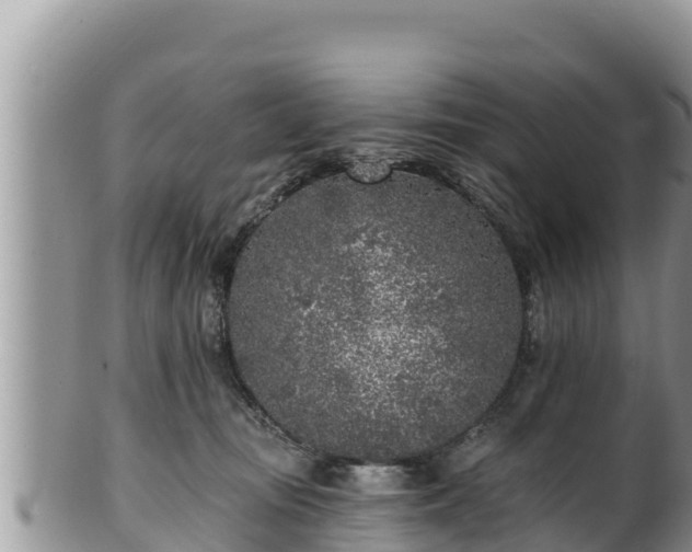 X0000102310371200808011608