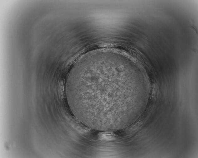 X0000102310372200808011608