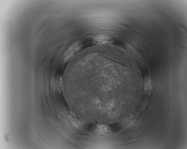 X0000102310376200808011608