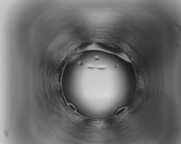 X0000102310377200808011608