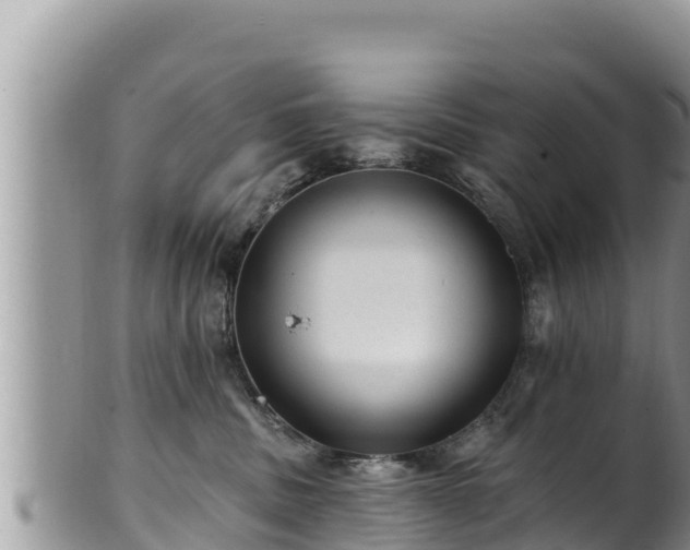 X0000102310379200808011608