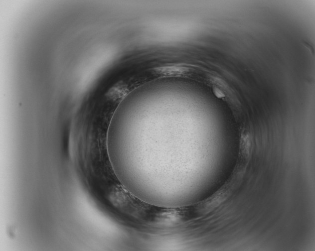 X0000102310381200808011608