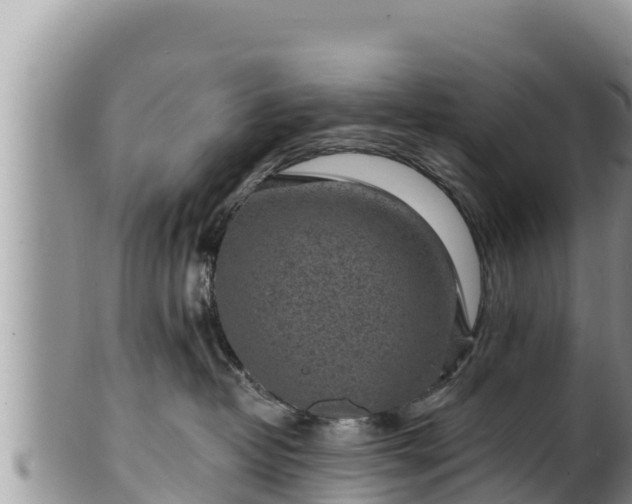 X0000102310382200808011608