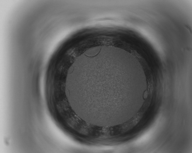 X0000102310383200808011608