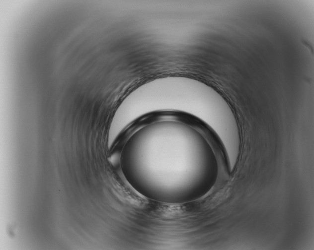 X0000102310384200808011609