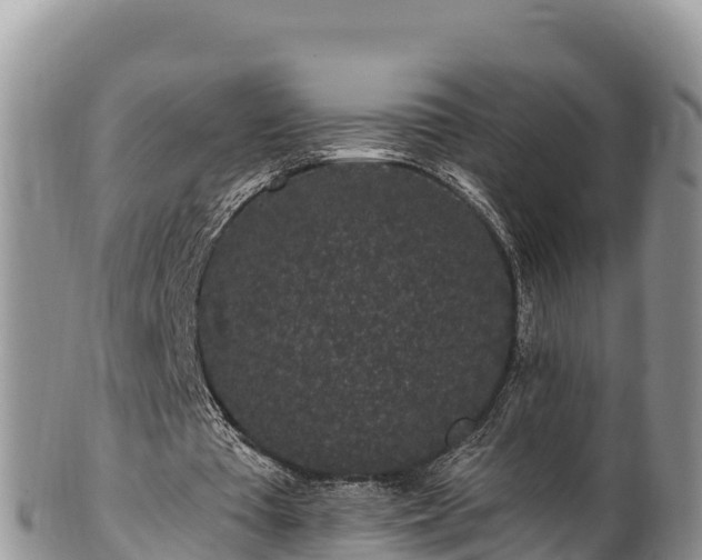 X0000102310385200808011608