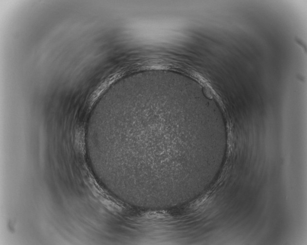 X0000102310386200808011608