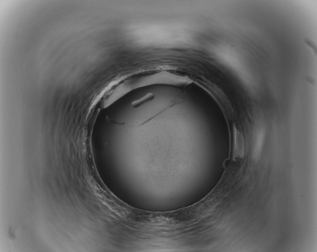 X0000102310387200808011608