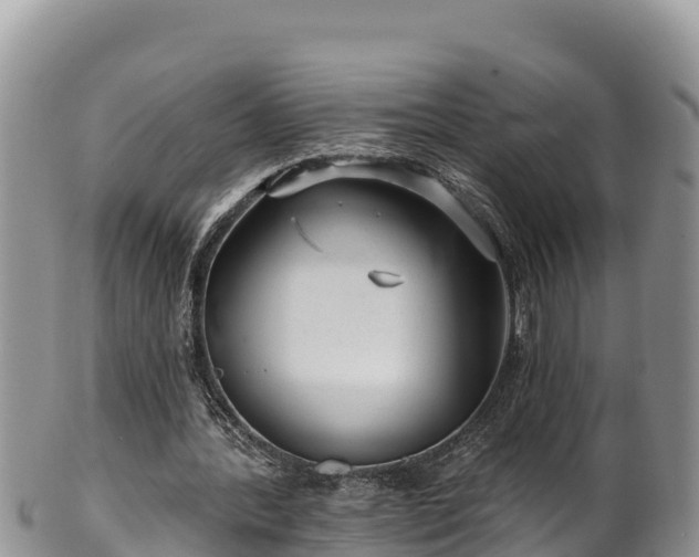 X0000102310388200808011608