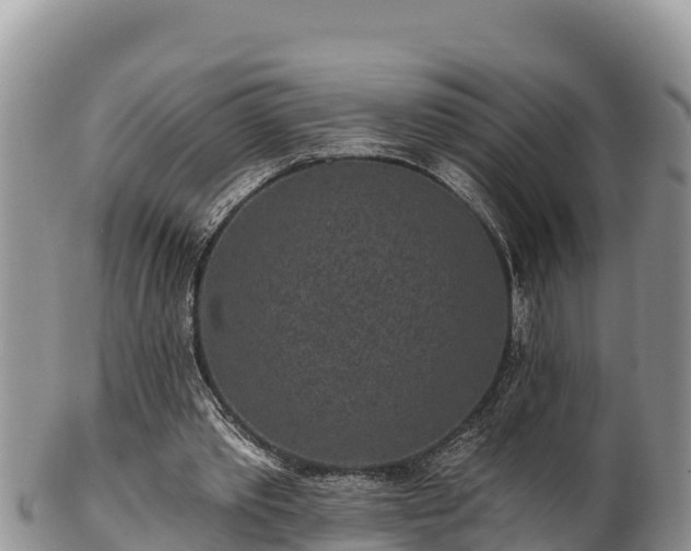 X0000102310389200808011608