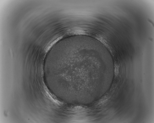 X0000102310390200808011608