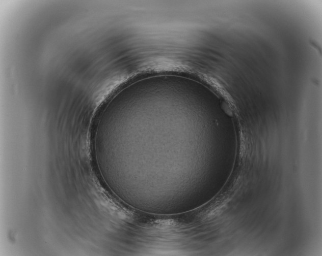 X0000102310391200808011608