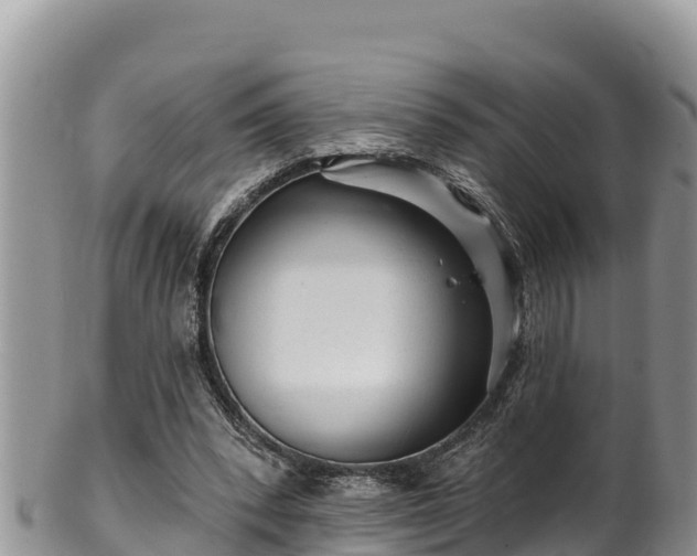 X0000102310392200808011608