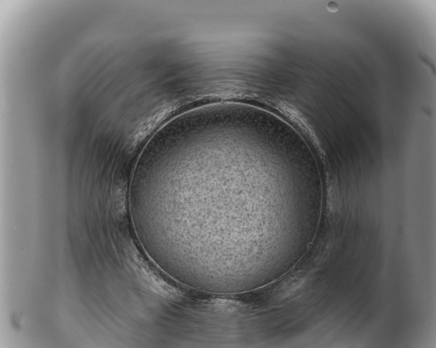 X0000102310393200808011608