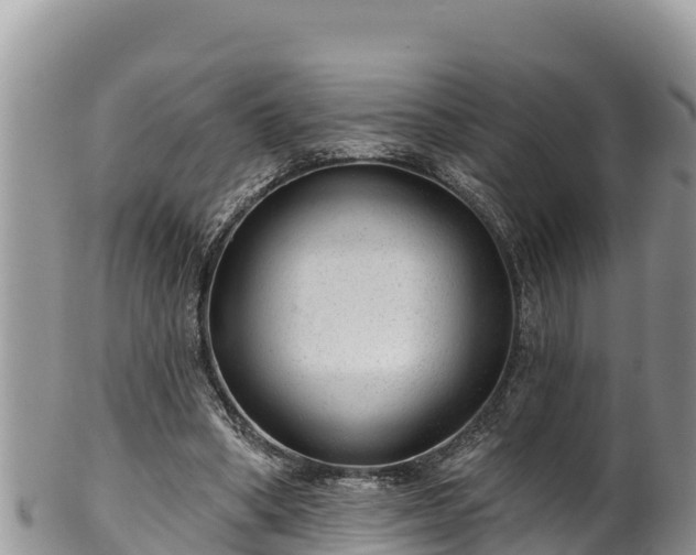 X0000102310394200808011608