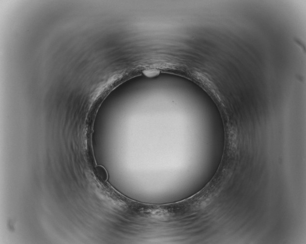 X0000102310395200808011608