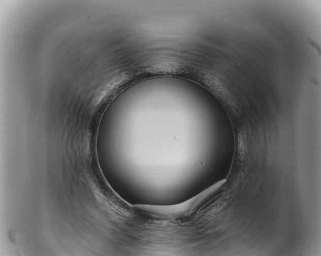 X0000102310396200808011608