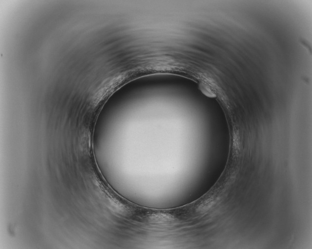 X0000102310397200808011608