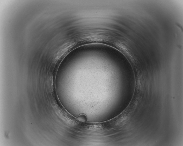 X0000102310398200808011608