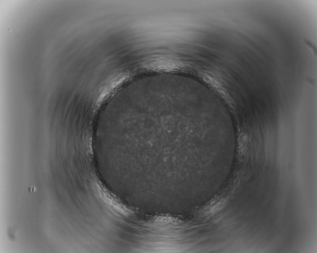 X0000102310399200808011608