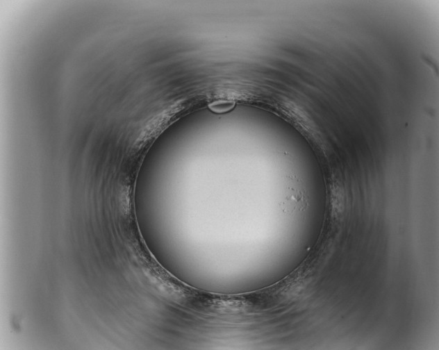 X0000102310401200808011608