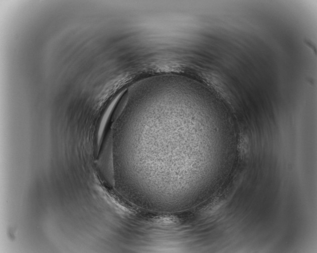 X0000102310402200808011608