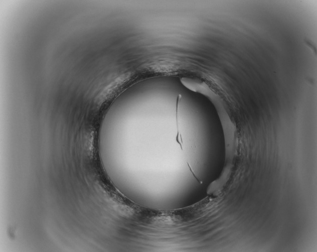 X0000102310404200808011607