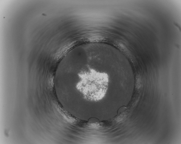 X0000102310405200808011607