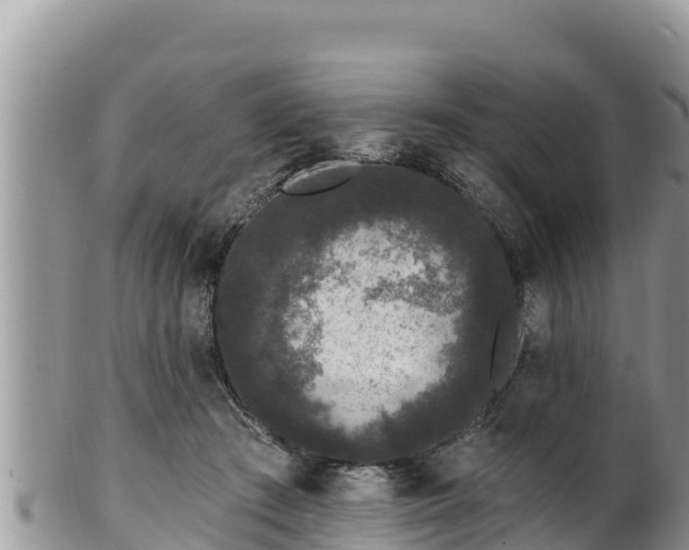 X0000102310409200808011607