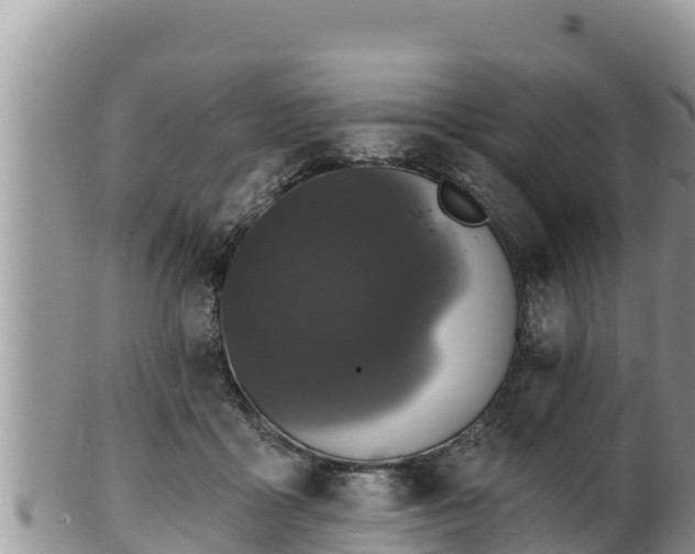 X0000102310411200808011607