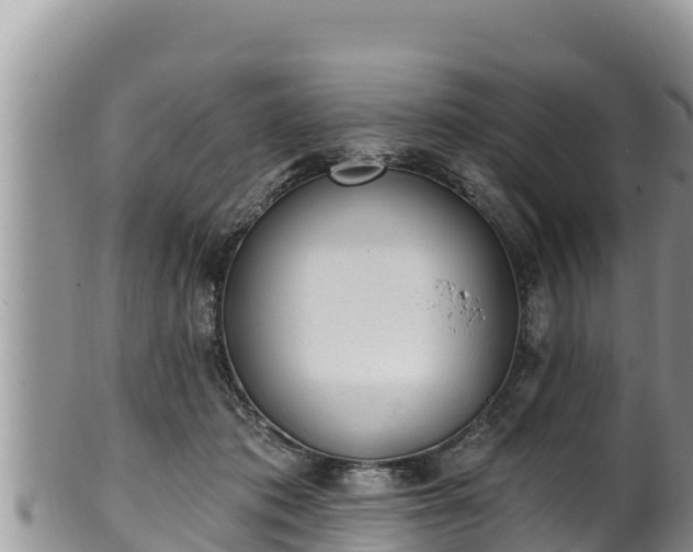 X0000102310413200808011607