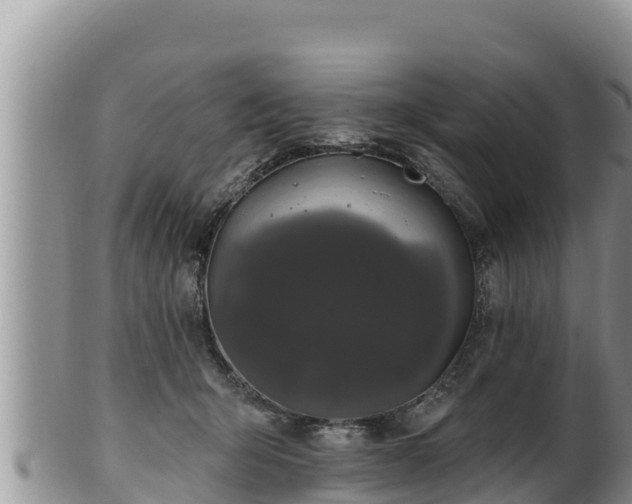 X0000102310415200808011607