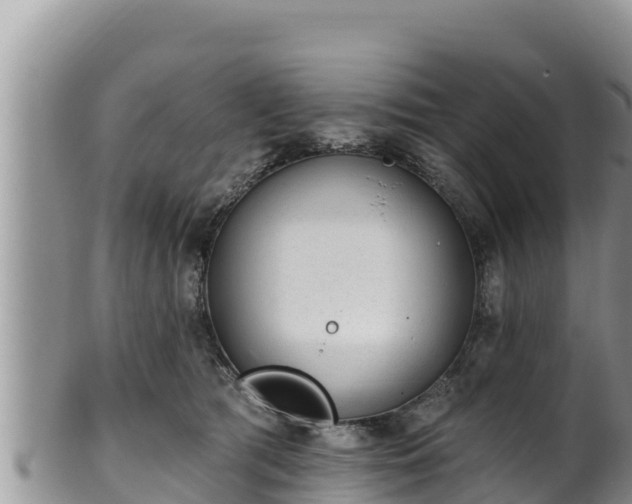 X0000102310417200808011607