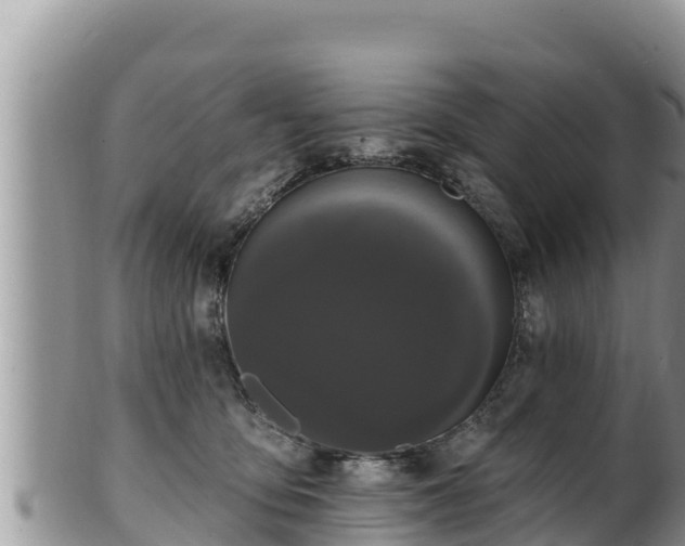 X0000102310419200808011607