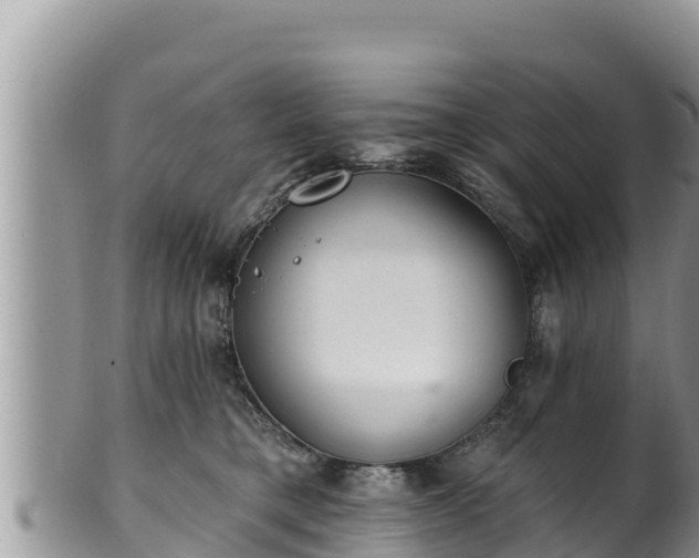 X0000102310421200808011607