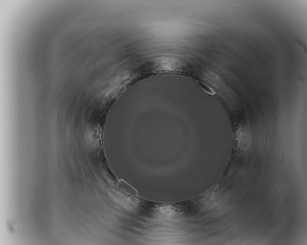 X0000102310423200808011607