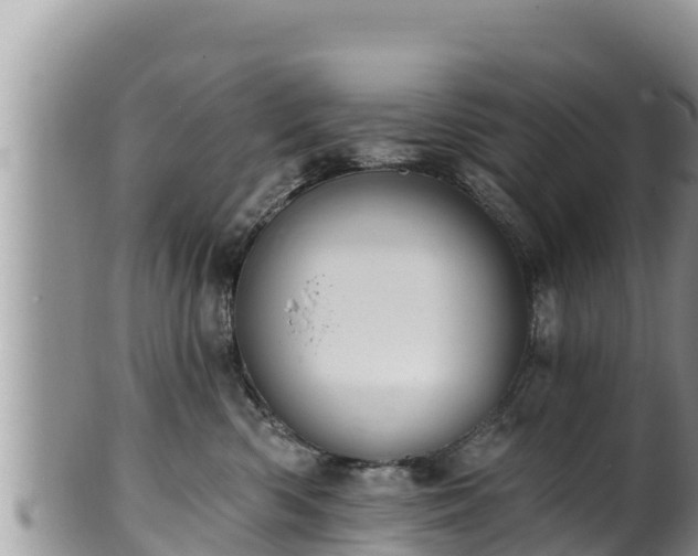 X0000102310426200808011607