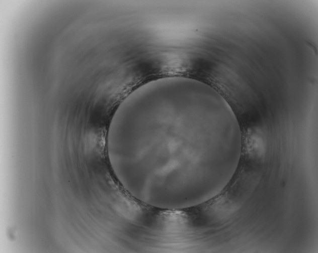 X0000102310427200808011607