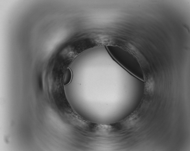 X0000102310429200808011607